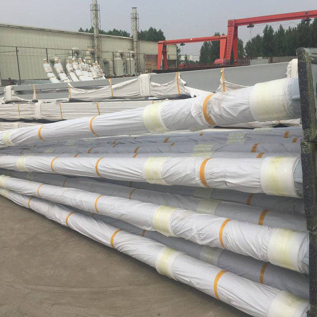 Standard height design galvanized 6M street light pole with arms